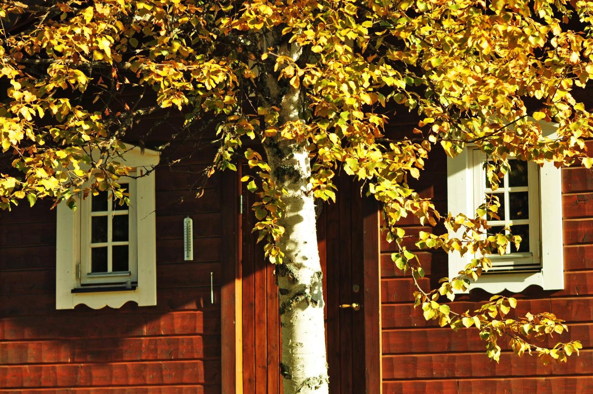 Karlsten Cottage On Wild River In Lapland/Sweden מראה חיצוני תמונה