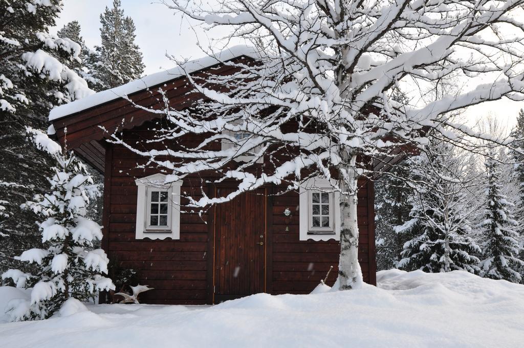 Karlsten Cottage On Wild River In Lapland/Sweden חדר תמונה